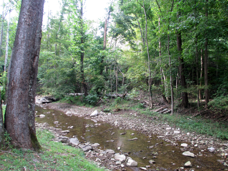 Creek at Carter Caves State Resort Park