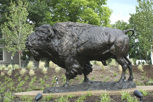 Bison Statue in Owensboro, Kentucky