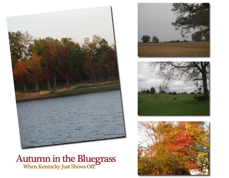 Kentucky in Autumn