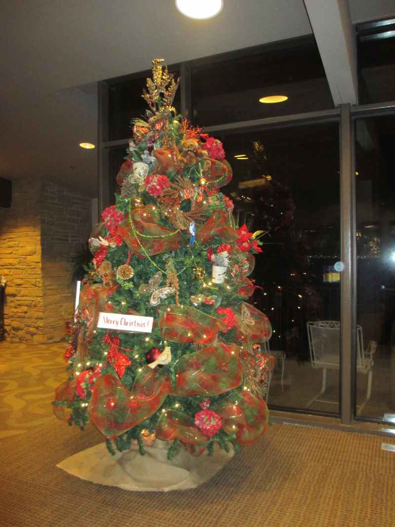 Christmas Tree at Rough River Dam State Resort Park 
