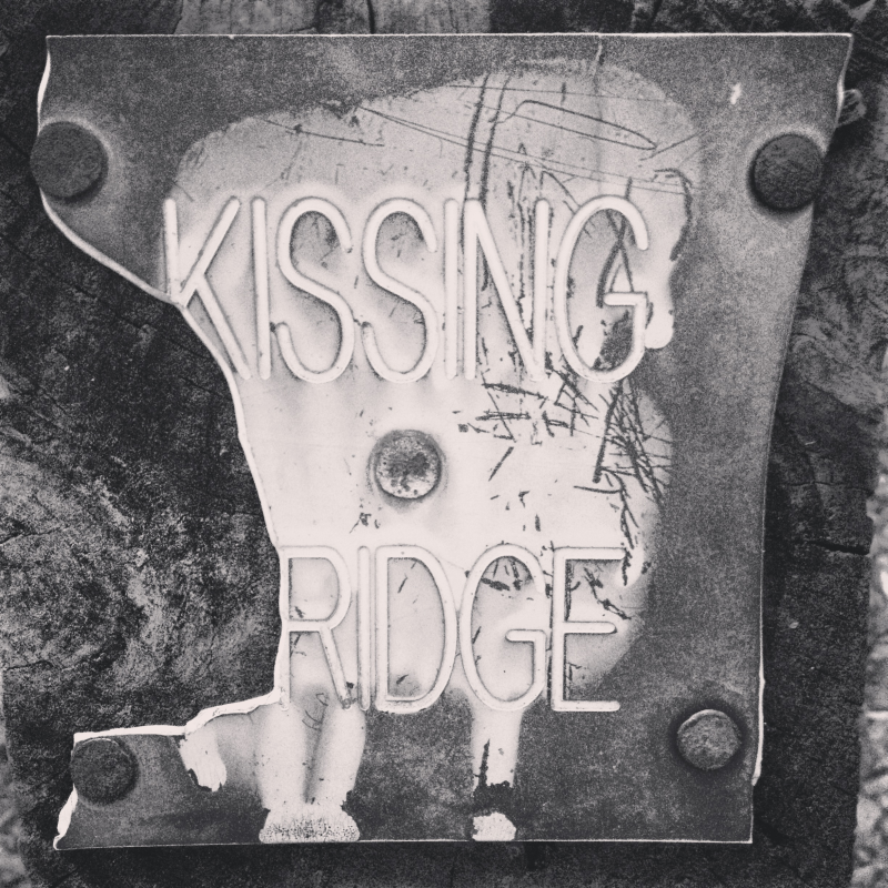 Kissing Bridge (Hancock County, KY)