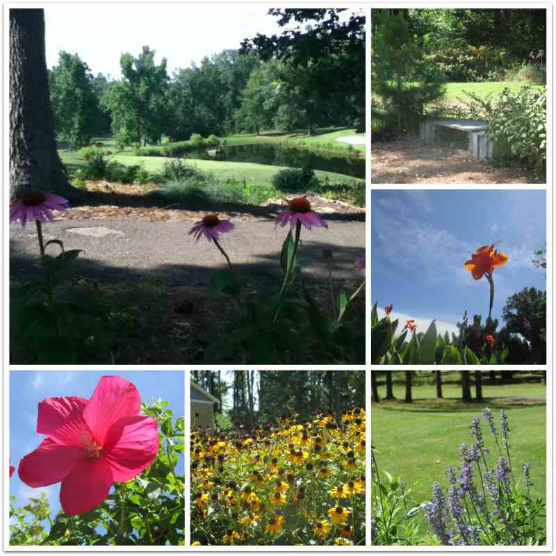 Kentucky Dam Village State Resort Park Golf Course Flowers