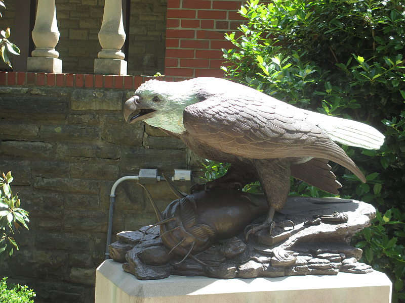 Bald Eagle Statue at John James Audubon State Park 