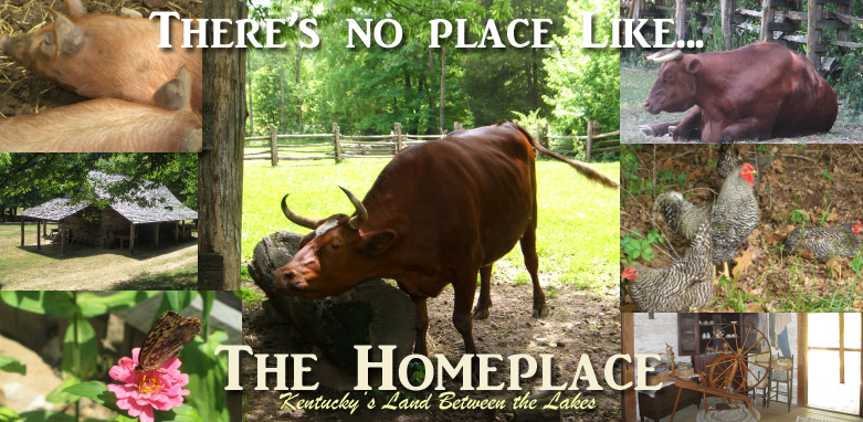 The Homeplace in Kentucky's Land Between the Lakes