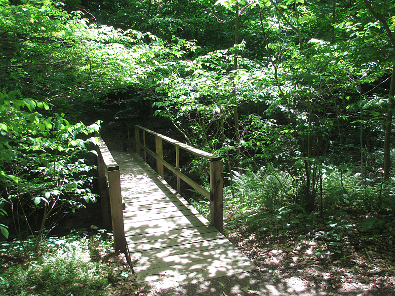 Trails Behind the Audubon Museum and Nature Center 