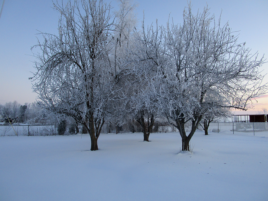 Winter morning in Kentucky February 2015