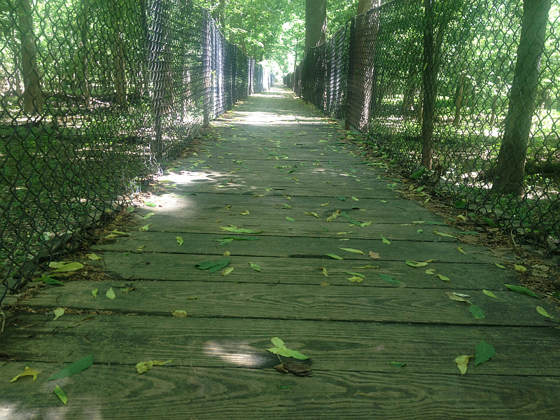 One of the trails at Panther Creek Park, Owensboro