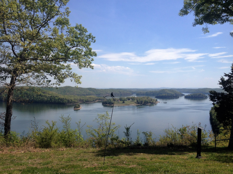 View Behind the Lodge at Dale Hollow Lake State Resort Park 