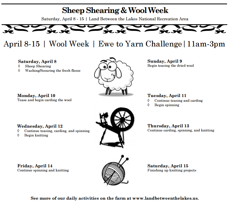 2017 Sheep Shearing and Wool Week at The Homeplace