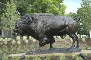 Beautiful Bison Statue in Owensboro Kentucky