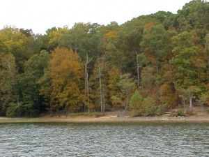 Kentucky Lake
