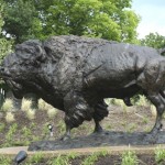 Bison Statue in Owensboro, Kentucky
