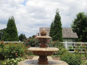 Western Kentucky Botanical Gardens in Owensboro