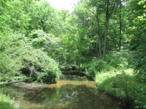 Creek at Pennyrile Forest State Park