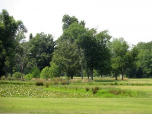 Pond at Pennyrile Forest State Resort Park