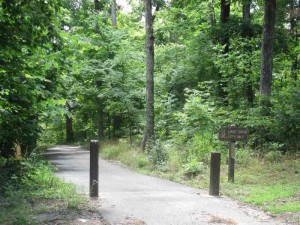 Hiking Trails at Pennyrile Forest State Park