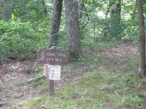 Hiking Trail at Pennyrile Forest State Park