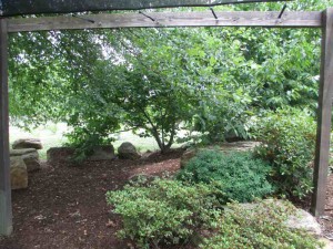 Western Kentucky Botanical Gardens in Owensboro Kentucky
