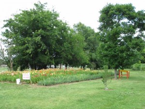 Western Kentucky Botanical Gardens in Owensboro Kentucky
