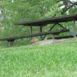 Chipmunk near a picnic area, Lake Cumberland State Resort Park