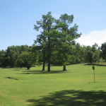 Kentucky Dam Village State Resort Park Golf Course