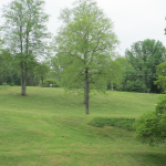 Lake Cumberland Disc Golf Course