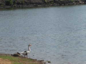 Loch Mary Lake Earlington, Ky