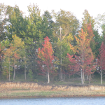 Autumn on Rough River Lake