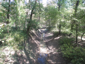 Panther Creek at Panther Creek Park