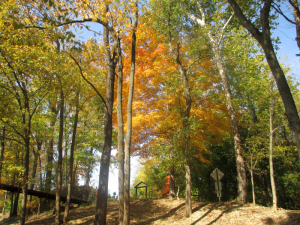 Panther Creek Park in Autumn