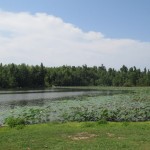 Loch Mary in Earlington Kentucky