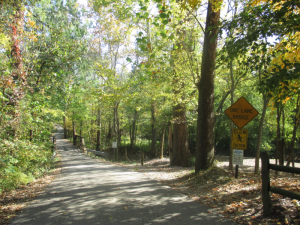 Kentucky Road in Autumn