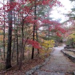The Woods Behind Pine Mountain State Resort Park's Lodge