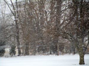 Winter Storm Feb 2015 Kentucky