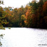 Fishpond Lake in Letcher County, Kentucky