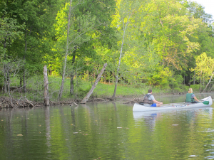 Canoeing on Honker Lake