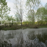 Reflection of Trees on Honker Lake