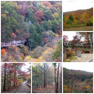 Pine Mountain in Autumn Pictures