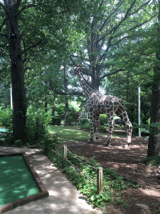 Maggie's Jungle Golf at Kentucky Lake