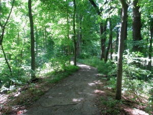 Trails Behind the Audubon Museum and Nature Center