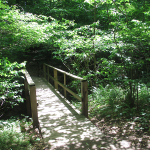 Trails Behind the Audubon Museum and Nature Center