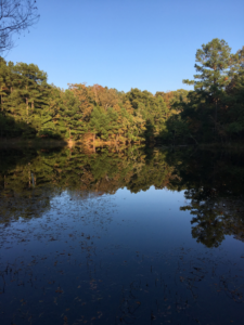 Cedar Pond, Land Between the Lakes in Autumn